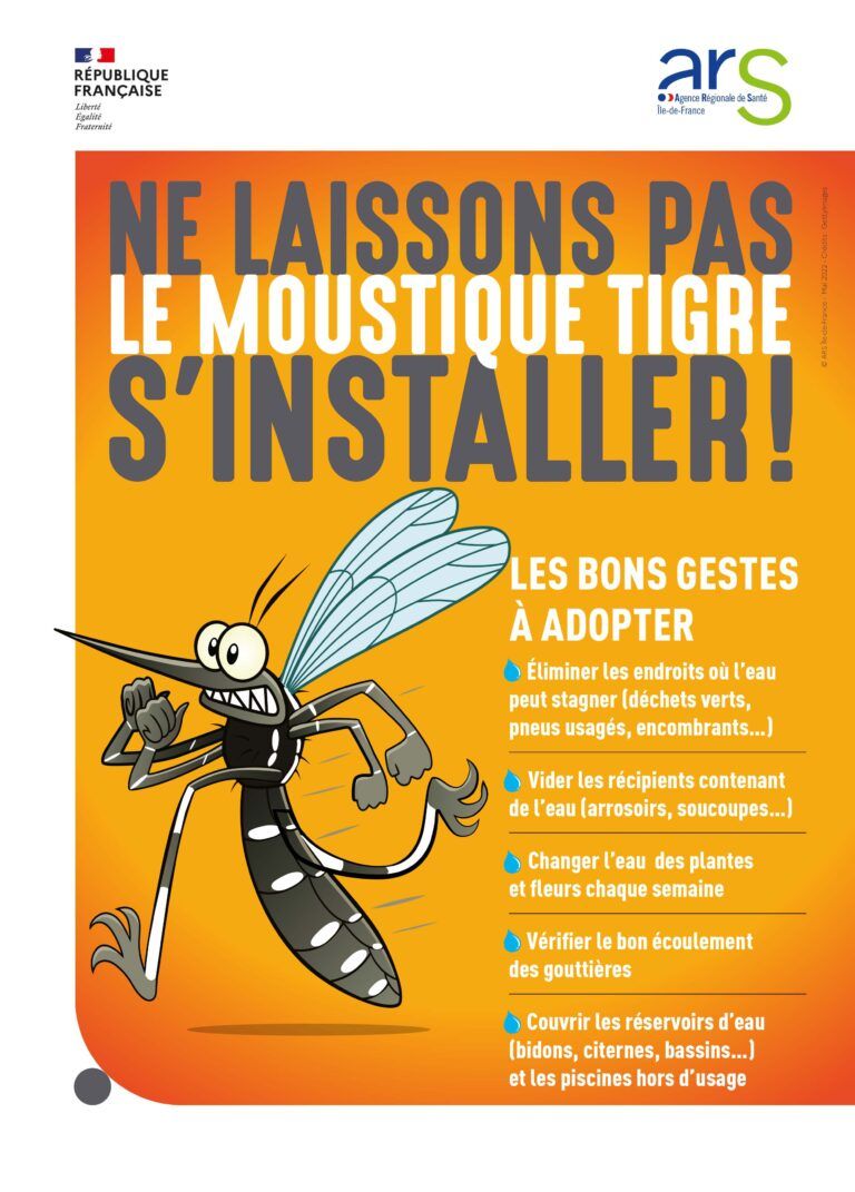 Moustique tigre : une responsabilité collective - Chambray-lès-Tours
